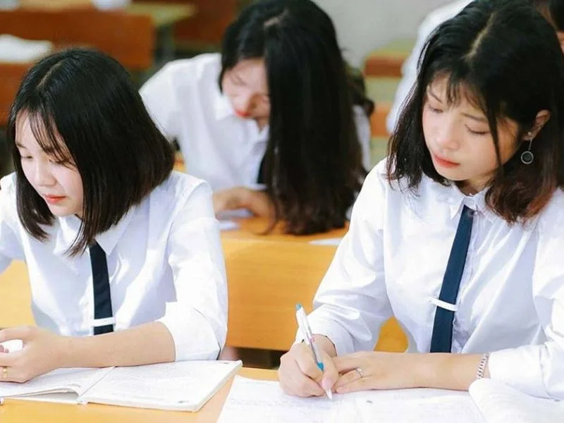 d14 gom nhung mon nao nganh va truong xet tuyen khoi d14 moi nhat
